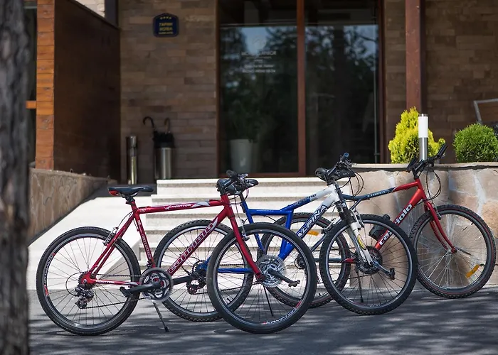 Апарт-отель Mons Златибор